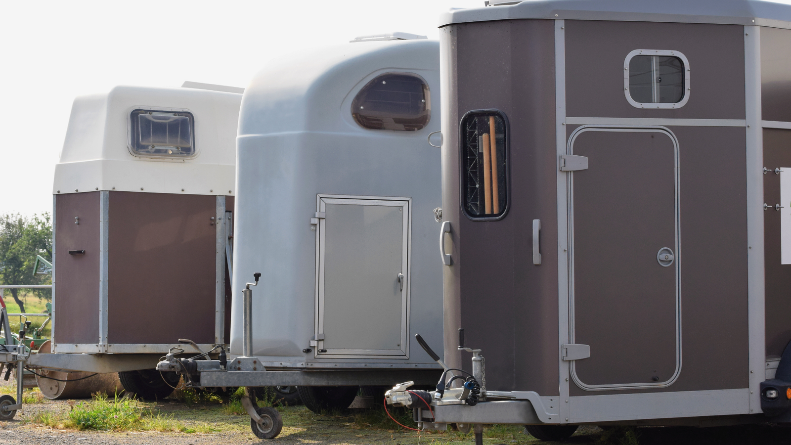 Arklių transportavimas